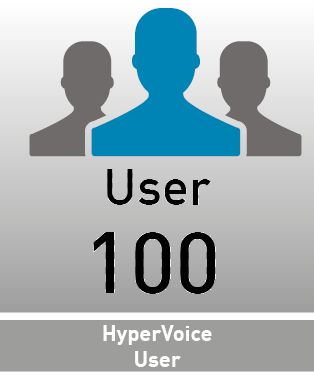 Agfeo HyperVoice Grundlizenz 100 User